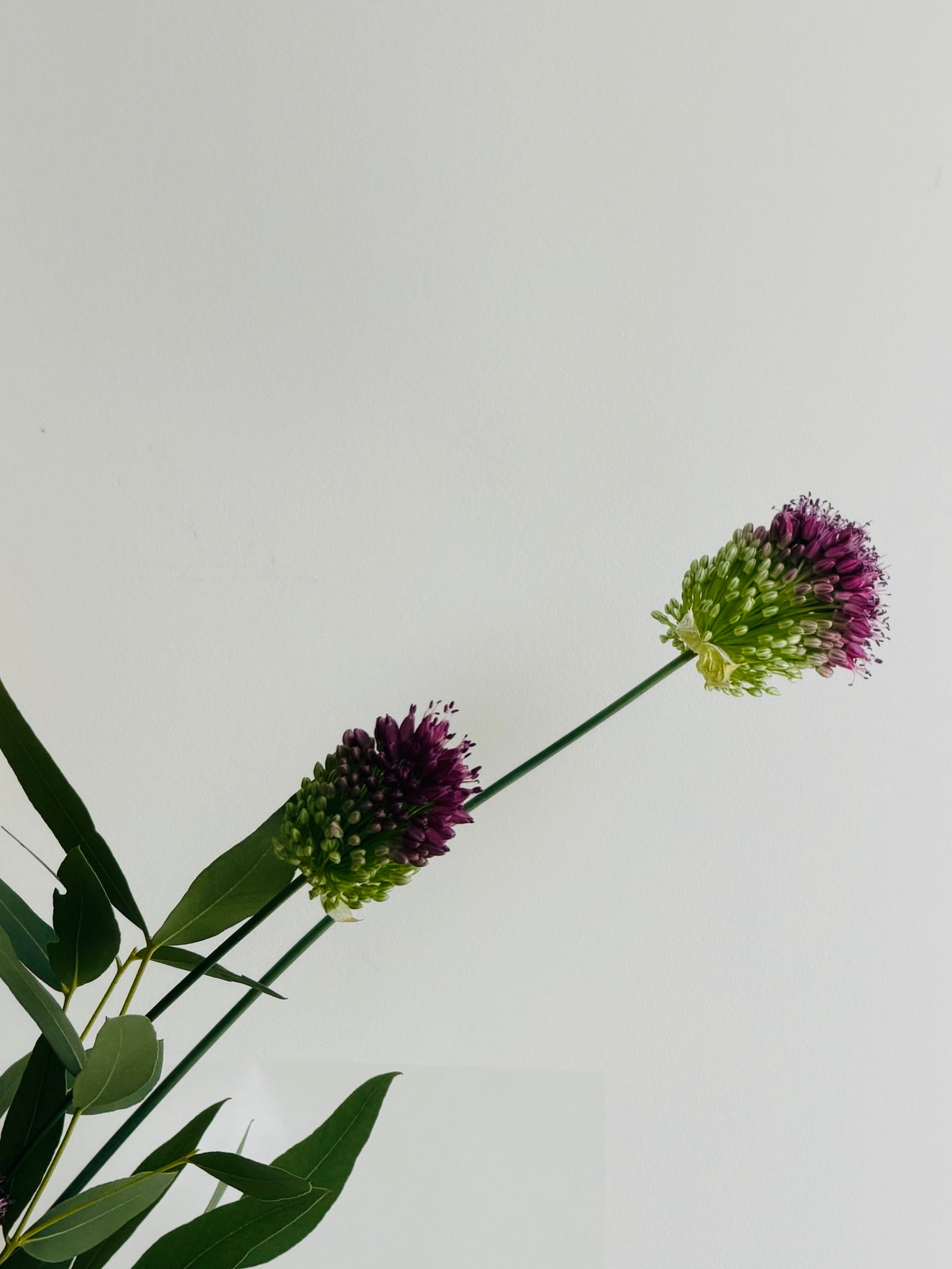Sculptural Bouquet 11 -Rebellious Line